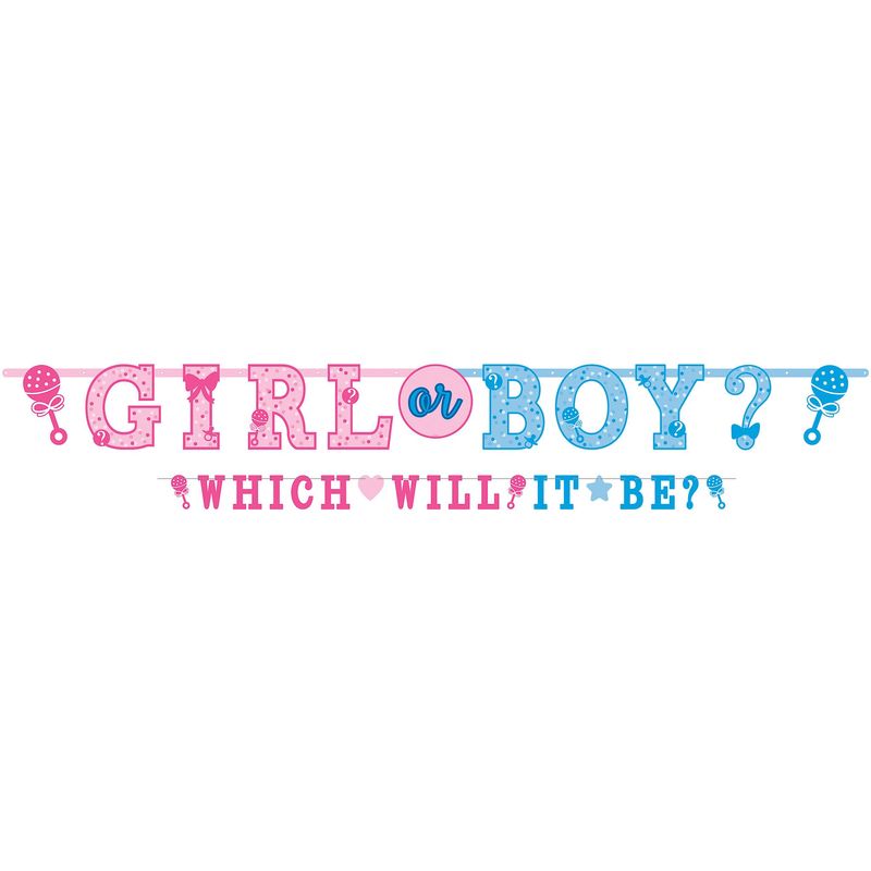 Banner-Gigante-Girl-or-Boy