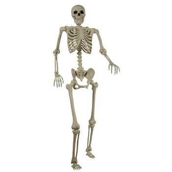 Esqueleto Decorativo Tamaño Real 152cm